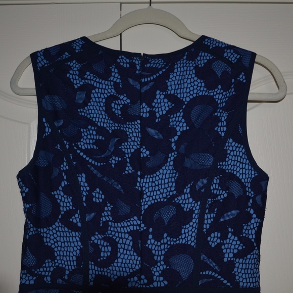 Cynthia Steffe Elenora Sleeveless Seamed Lace Sheath Dress - Picture 9 of 11